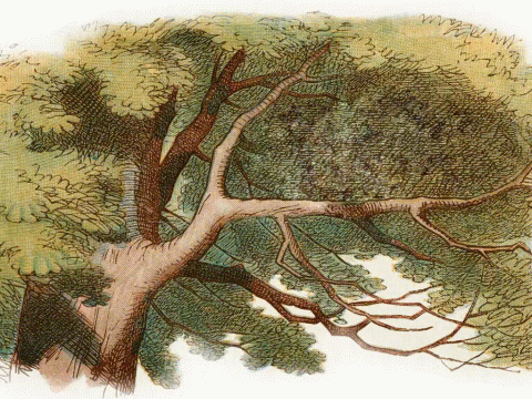 in a color engraving of a tree, the cheshire cat appears, disappears and reappears holding their trademark grin